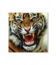 Lavagna Magnetica Tigri Feroci