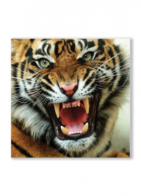 Lavagna Magnetica Tigri Feroci
