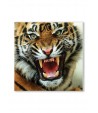 Magnetic Board Ferocious Tigers